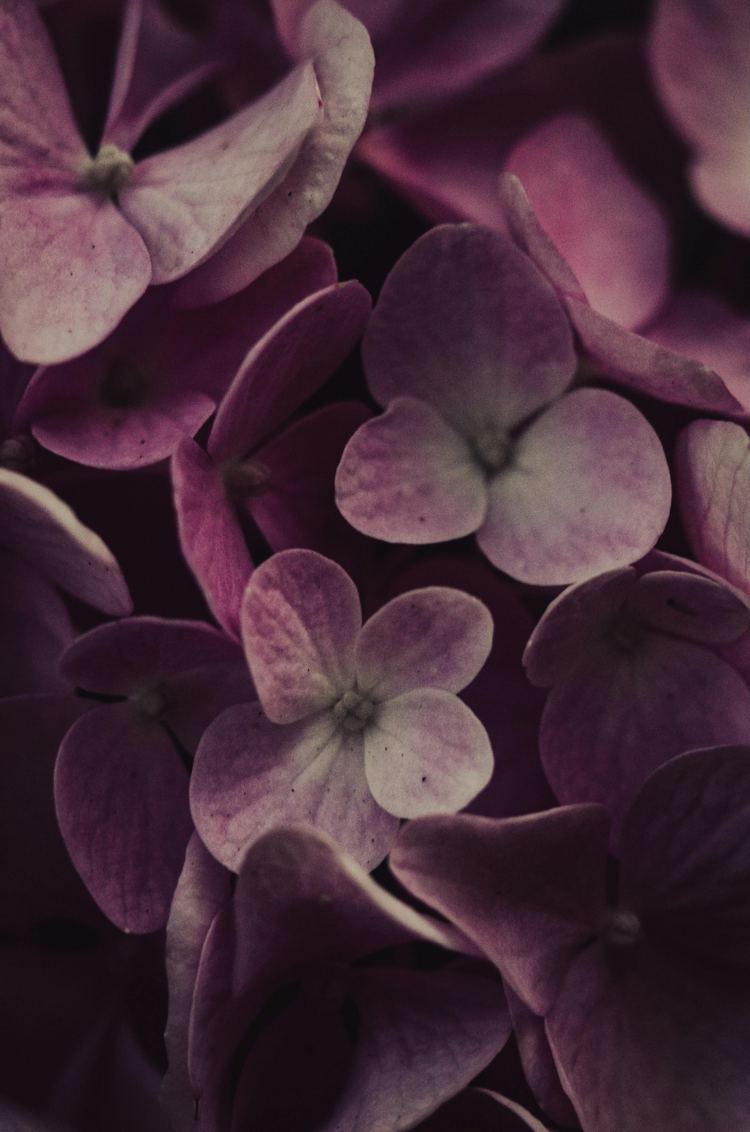 Décoration florale élégante